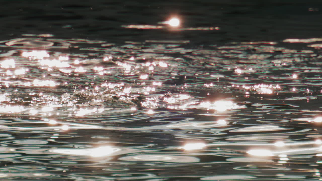 A cormorant swims and dives into the clear blue sea near the coast