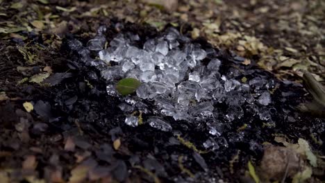 ice cubes on the remains of a campfire at mount carmel, israel