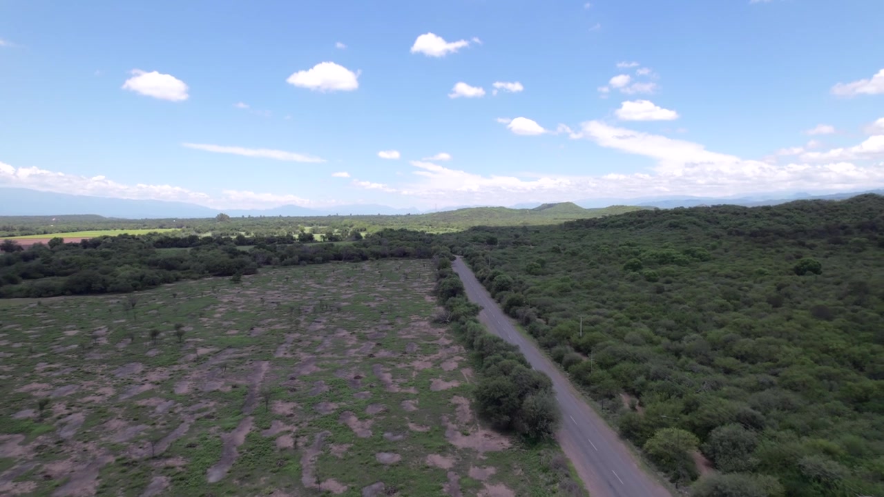 Vista aerea con drone 4K della strada panoramica per Cafayate, Salta, Argentina. Paesaggio verde lussureggiante con alberi che circondano il percorso attraverso le splendide Valli Calchaquí.