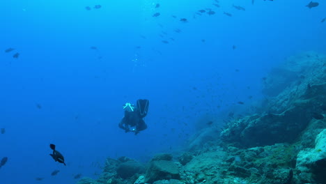 Scuba-diver-with-a-camera-among-tropical-fish