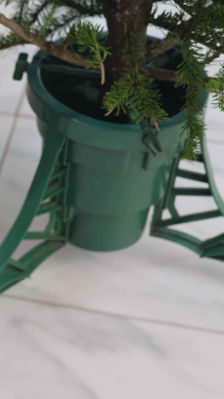 Soporte de plástico verde para árbol sobre baldosas que sujeta un pequeño tronco y ramas de hoja perenne; primeros planos de la base de la maceta, las patas de soporte, la abrazadera y la tierra durante el montaje paso a paso por parte del propietario que prepara la decoración navideña