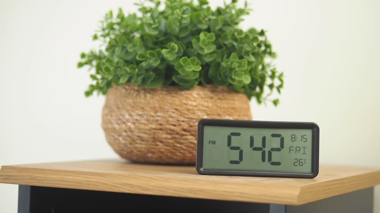 Plant and Clock on Table
