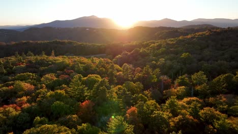 Treetoop-Aéreo-Empuje-Hacia-La-Montaña-Del-Abuelo-Nc-Norte