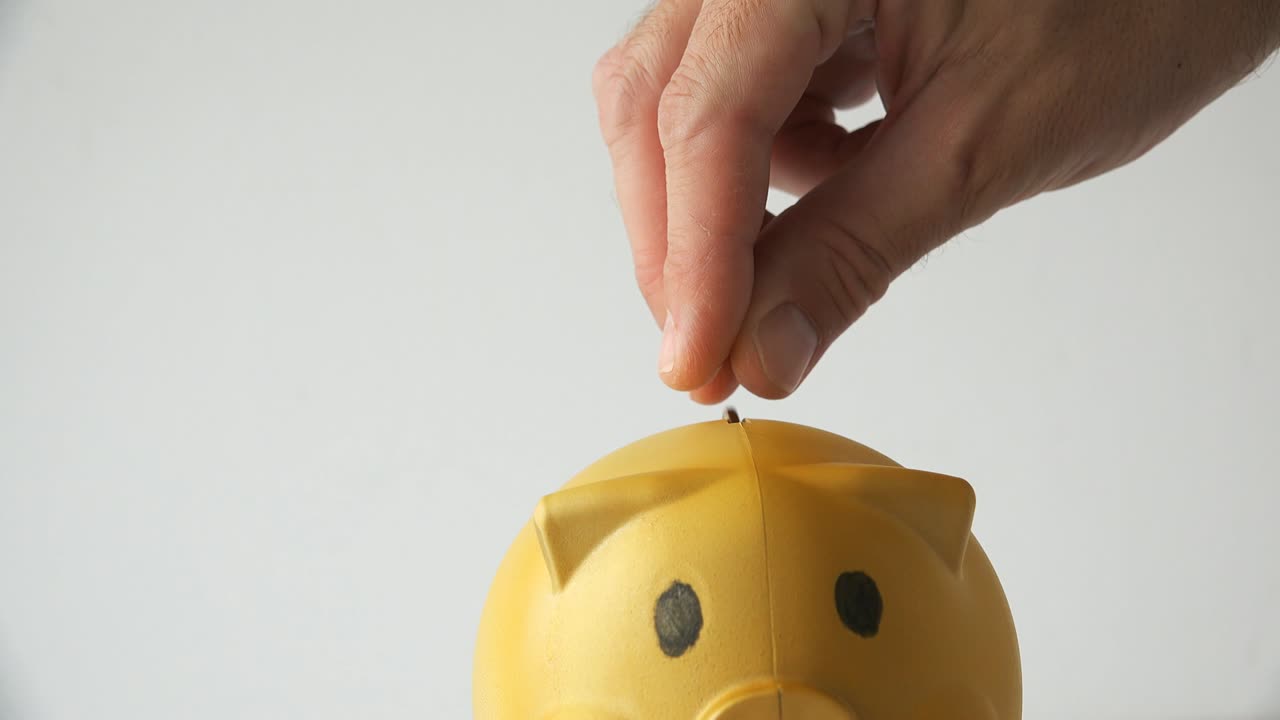 banco de monedas para alimentar a los cerdos