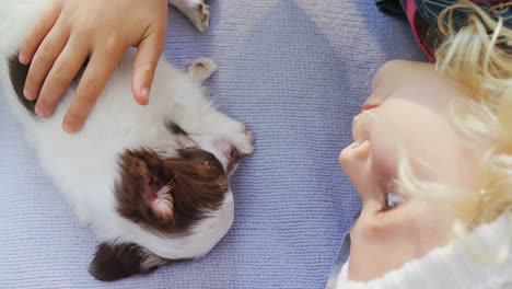 Little-girl-lying-on-bed-stroking-her-puppy-in-the-bedroom-4K-4k