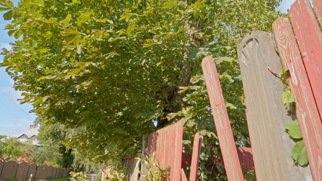 폭풍 후 집 울타리의 손상