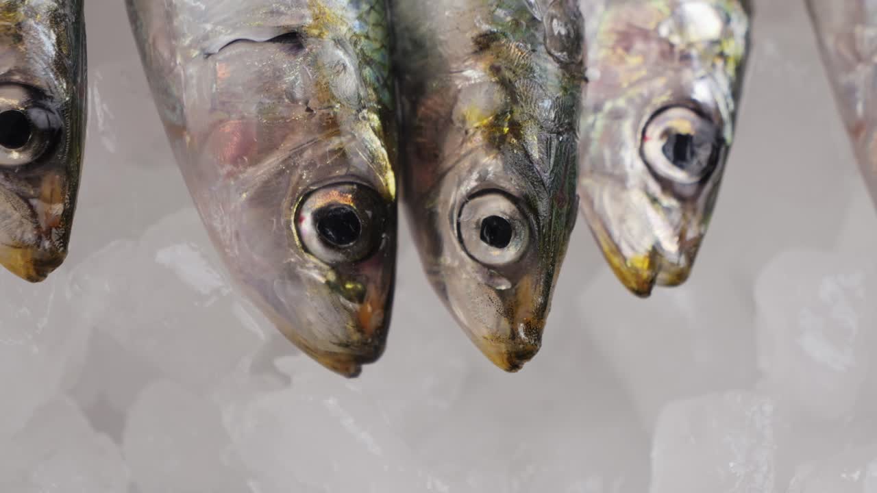 anchoas frescas en hielo