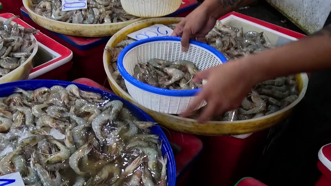 A person sorts through shrimp in colorful baskets at a bustling seafood market.