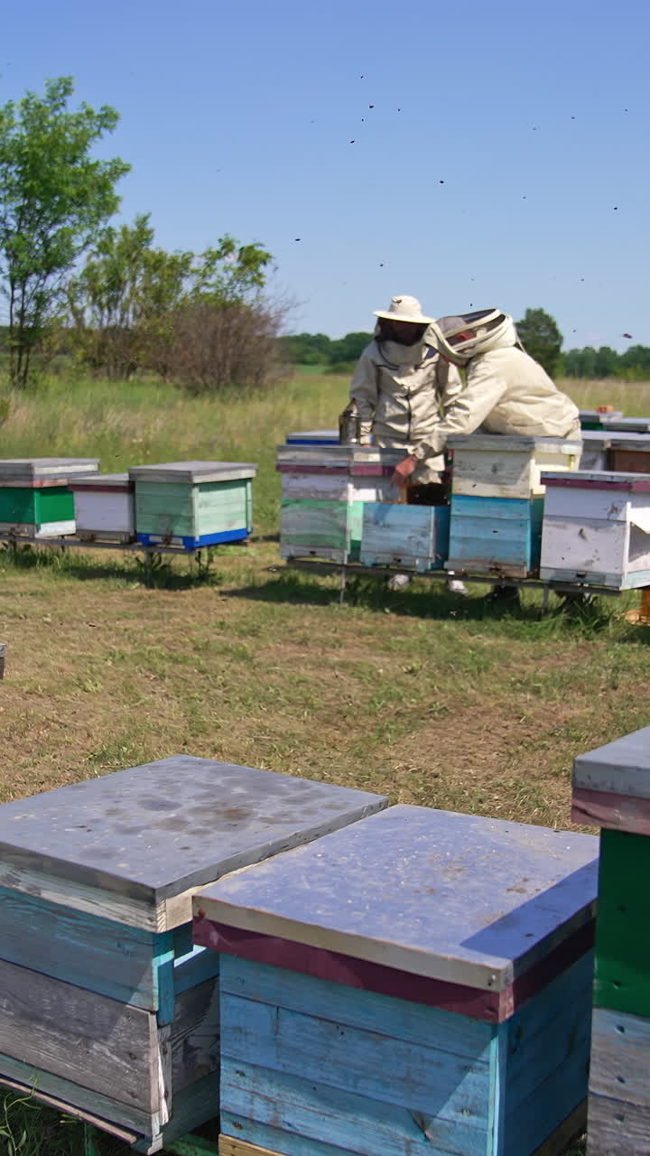 Beekeepers working at an apiary