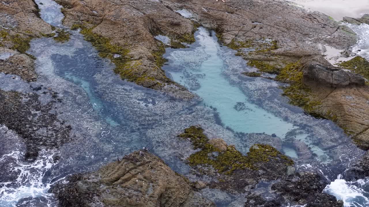 Overhead drone view of vibrant tide pools along a rocky coastline, showcasing shallow clear water, seaweed, and the natural patterns of the intertidal zone during low tide