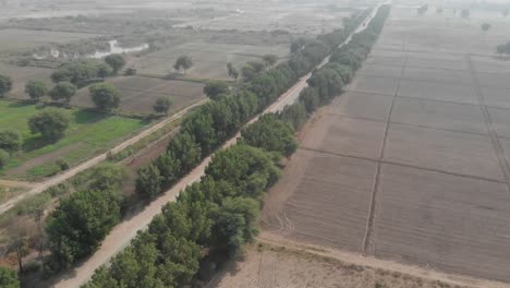 Vista-Aérea-De-La-Carretera-Que-Atraviesa-Tierras-De-Cultivo-Rurales-En-Khairpur