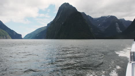 mirando por el lado del barco durante un recorrido panorámico en milford sound