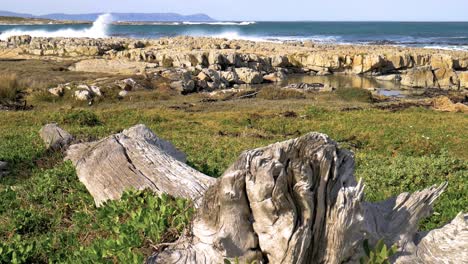 tronco viejo que se encuentra en primer plano de la costa rocosa con un océano agitado