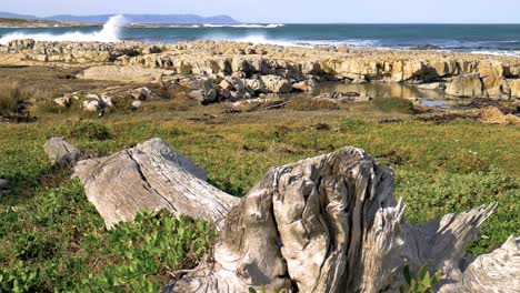 old log lying in foreground of rocky coastline with rough ocean