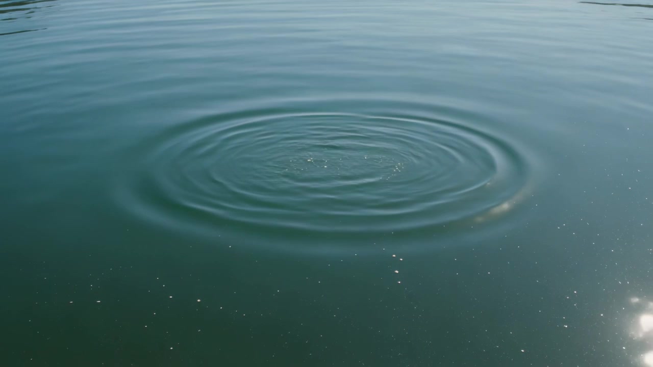 Increspature ad anello che si espandono verso l'esterno da uno schizzo centrale su acqua calma, con il riflesso del sole e particelle.