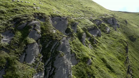 sheep in single file walking in the mountain