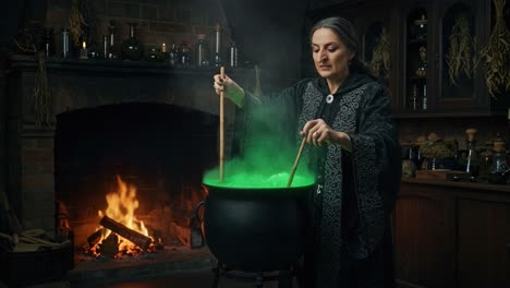 a mysterious sorceress stirs her enchanted cauldron, enveloping the room in a mesmerizing green glow while shadows dance in the warm firelight