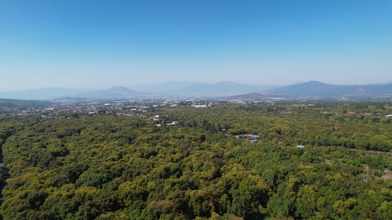 녹색 하스 아보카도 나무가 내려다보이는 산과 멕시코 미초아칸의 작은 푸에블로 위로 느린 공중 상승