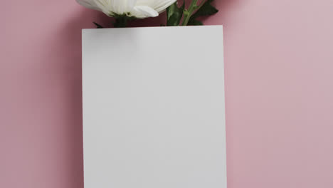 video de flores rojas, blancas y rosas y papel blanco con espacio de copia en fondo rosa