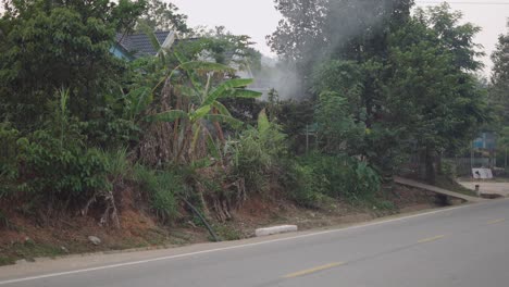 rural roadside scene with houses and vegetation