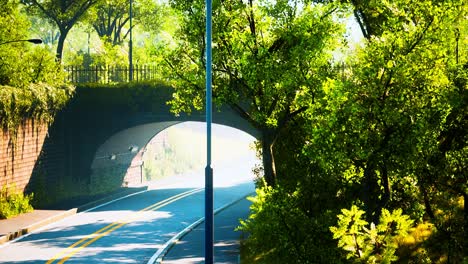 arch-bridge-with-living-bush-branches-in-park