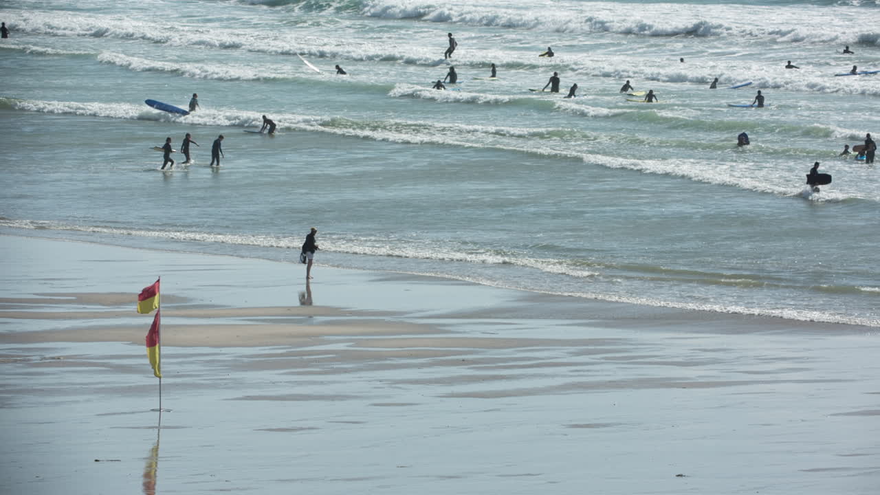 폴지스 비디오 06