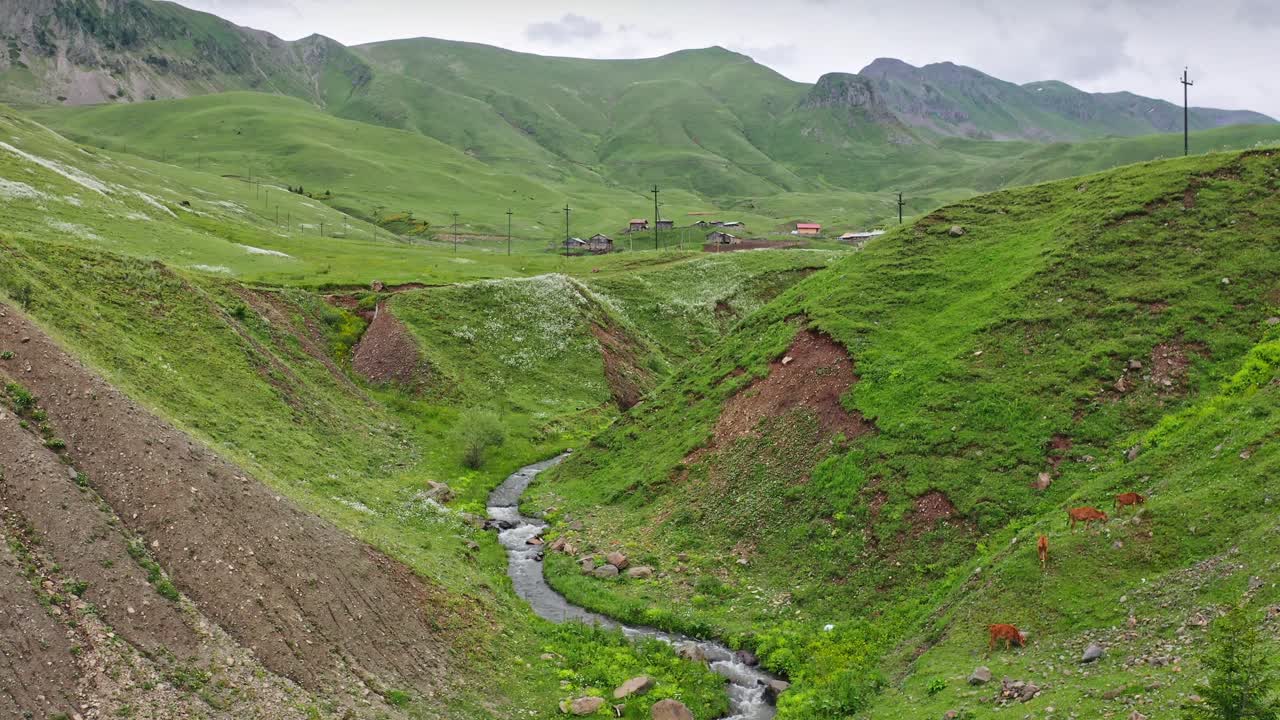 Luftaufnahme eines Canyons mit gewundenem Fluss in der Berglandschaft Georgiens