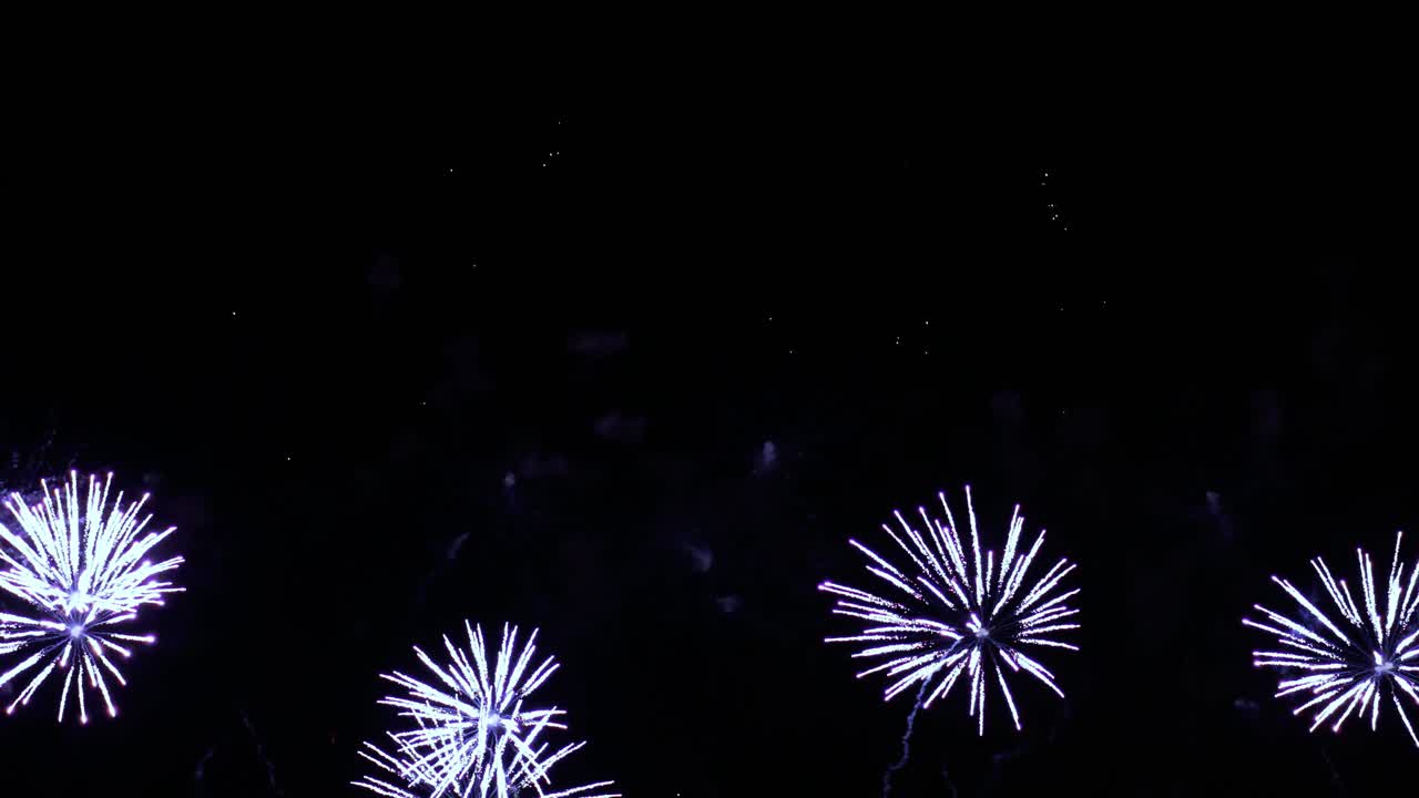 Colorful fireworks exploding in the night sky. Celebrations and events in bright colors.