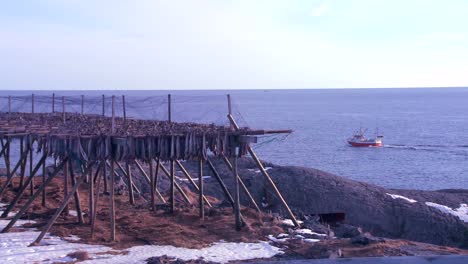un barco de pesca se dirige a través de fiordos en el ártico cerca de estantes de pescado en las islas lofoten de noruega