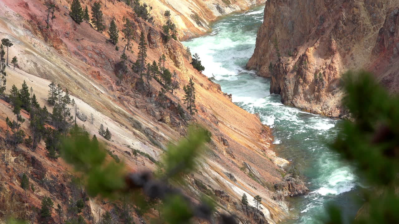 Kelokan Sungai Yellowstone dengan tanah dan bebatuan berwarna-warni di kedua sisi serta pepohonan di latar depan