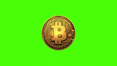 moneda de oro de criptomoneda con símbolo de bitcoin en el anverso, aislada en fondo verde. moneda de metal dorado giratoria en bucle sin fisuras animación 3d. tecnología blockchain. animación gráfica de video 4k