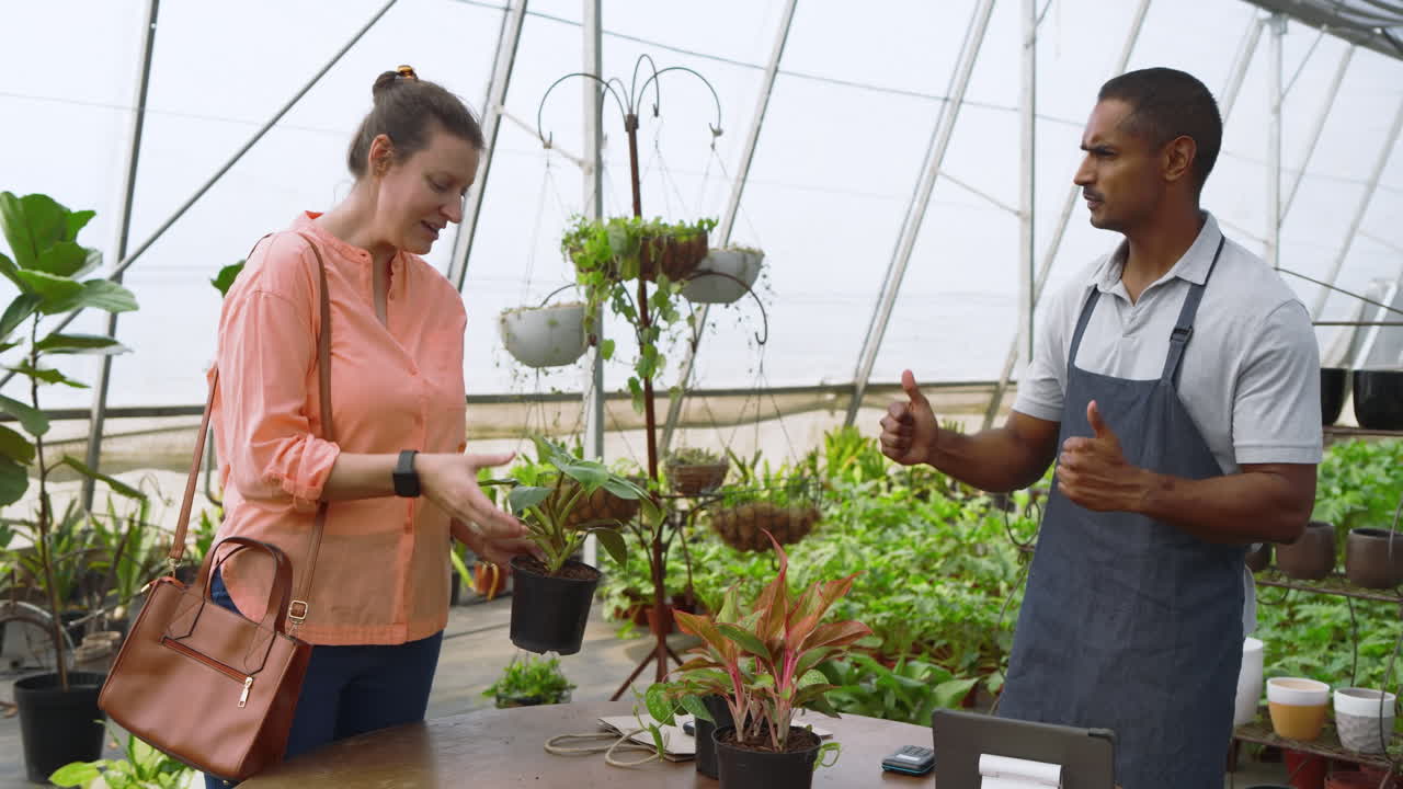 Customer choosing plants while nursery worker using tablet in greenhouse