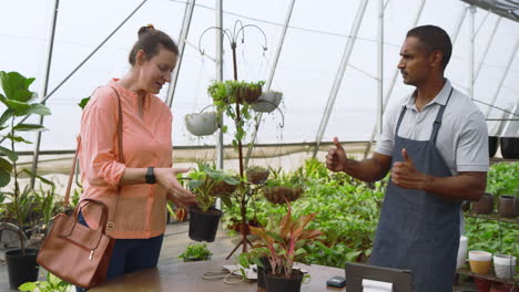 customer choosing plants while nursery worker using tablet in greenhouse