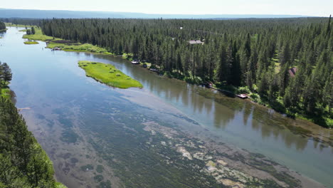 gorgeous forest river with boat docks