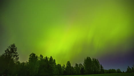 Grünes,-Lebendiges-Nordlicht-Im-Zeitraffer-über-Dem-Wald