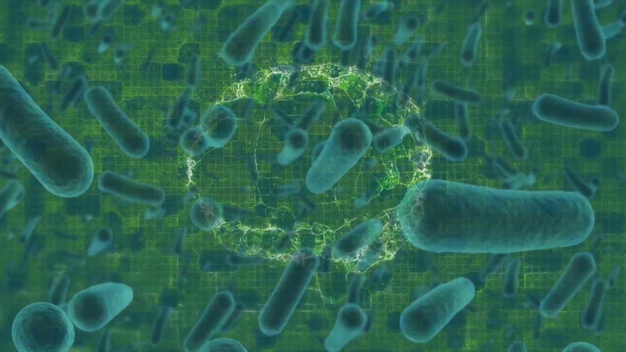 초록색 배경에 인간의 뇌가 회전하는 것에 대한 여러 혈관의 디지털 애니메이션