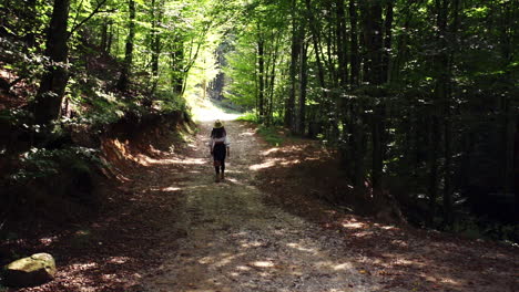 romanian girl walking in the forest 1