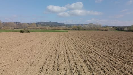 Nahaufnahme-Des-Bodens-Nach-Der-Ernte,-Die-Die-Ländliche-Landschaft-Enthüllt