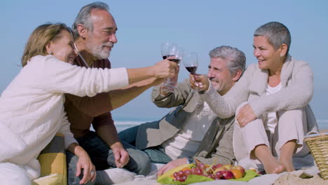 old friends clinking glasses while sitting on blanket on shore