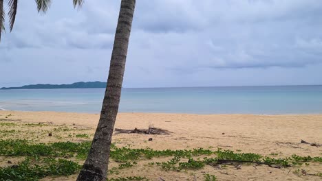 playa tropical desierta en una isla exótica, palmeras, arena y olas, panorama