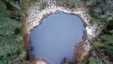 aerial drone footage rising up above a melting, ice covered lake in the middle of a pine forest in the cairngorms national park in scotland with a small dusting if snow around the edge of the loch