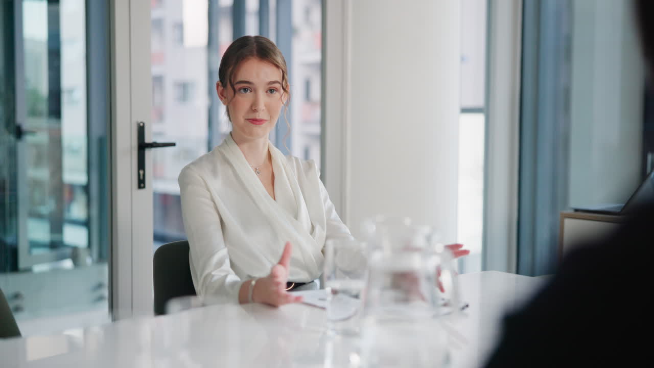 Professional Woman in Office Interview