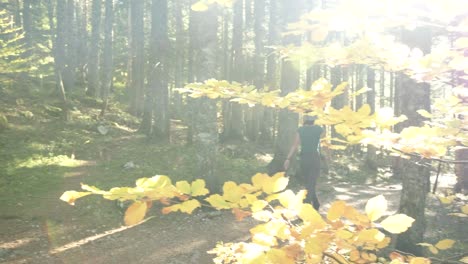 walking around black lake during sunset in durmitor national park in montenegro in the fall season