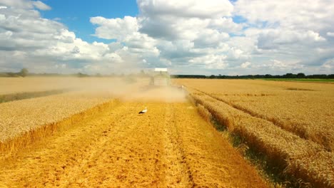 Bauer-Bearbeitet-Sein-Land,-Mähdrescher-Erntet.