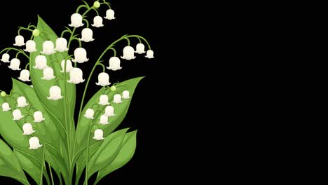 animated growth of lily of the valley flowers with smooth transitions and vibrant green leaves against a black background