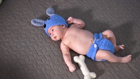 newborn kid wearing funny blue knitted suit of a puppy. toy bone next to the boy. baby in a funny costume on the grey backdrop.