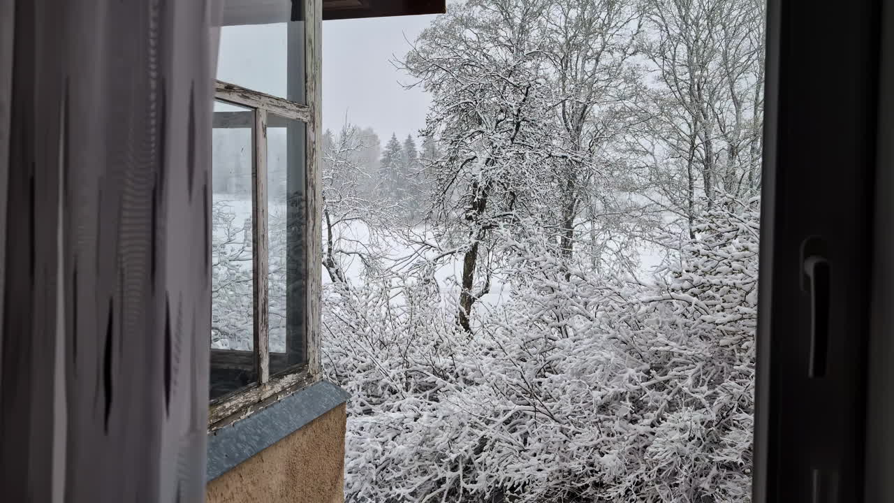 Snow-covered trees seen through an old rustic window frame during a calm winter day