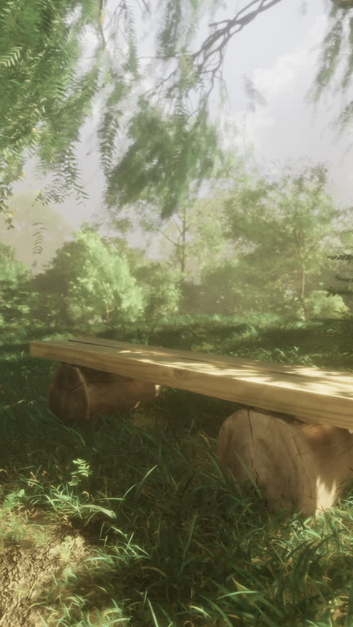 Beautiful forest setting with wooden benches surrounded by lush greenery