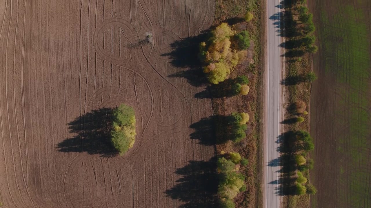 Riprese con drone dall'alto di una strada di campagna dritta fiancheggiata da alberi accanto a campi agricoli arati e verdi, paesaggio primaverile nella regione degli Urali, Russia