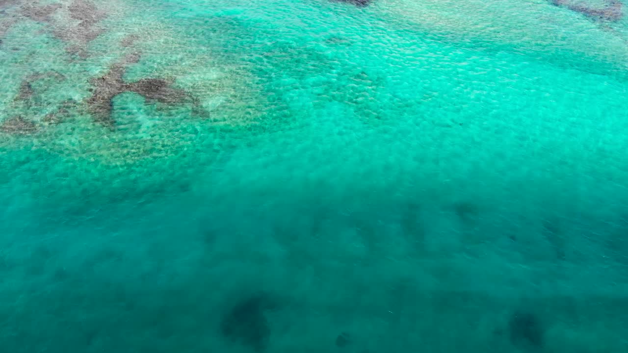 맑은 푸른 물을 통해 해저에서 자라는 다채로운 바위와 산호